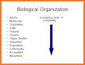 NGSS Biology - Study Cards, 6 of 7 related image