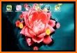 OS flower live wallpaper related image