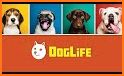 Dog Life: BitLife Guide Dogs App related image