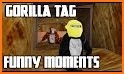 Funny Tags related image