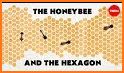 Honeycomb Hotel Pro related image