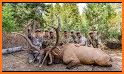 University of Elk Hunting related image