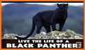 Panther Simulator related image