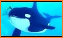 Orca Simulator: Killer Whale Simulator Game related image