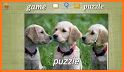 Hexa Jigsaw - Dogs jigsaw puzzle game related image