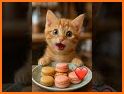 Pet Chat related image