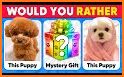 Cash Quiz - Animal Edition related image
