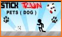 Dog Stick Run related image