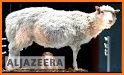 Animal Cloner related image