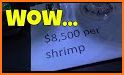 Shrimps Reality related image