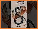 Dragon Collection Legend related image