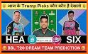 Dream11 Fantasy Crickets experts Predictions Tips related image