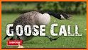 Hunting Calls Pro Ad Free related image