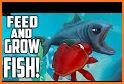 feed and grow fish Arcade related image