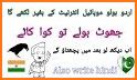 Urdu Speak to Type – Voice keyboard related image