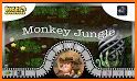 Jungle Adventure of Monkey related image