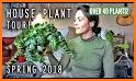 Plants 2018 related image