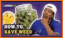 Weedguide: Cannabis Lifestyle, News & Weed Strains related image
