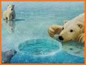 Polar Bear Horizon related image