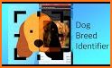 Dog scanner - Dog Breed ID related image