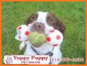 Puppy Pet Care Daycare Salon related image