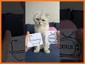 Ki Live - Chat & Happy related image