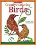 Birds Coloring Book related image