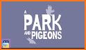 A Park And Pigeons related image
