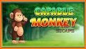 Capable Monkey Escape related image