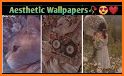 Aesthetic Wallpaper Offline - hd & 4k wallpapers related image