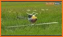 Grass Mower 3D - Cutting Grass related image