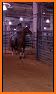 Play ProRodeo related image