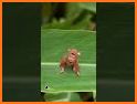 CutiePix - Snap Stweeten Video related image