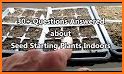 My Seed Trays related image