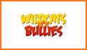 Wildcats Against Bullying related image