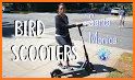 Razor Scooter Share related image