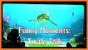 Turtle Talk related image