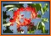 Flower Jigsaw Puzzle Free related image