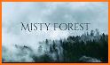 Foggy Forest Theme Launcher related image