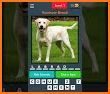 Dog Quiz:Trivia Questions–Guess the dog breed quiz related image