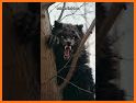 Werewolf - The Bigfoot Monster related image