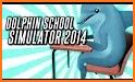 Dolphin Simulator related image