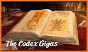 Codex:The Deity related image