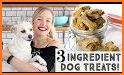 Canine Friend Recipes related image