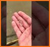 The Blob: Save the Jelly! related image