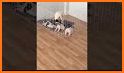 Cute Pup Fox Escape - A2Z related image