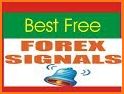 Forex Signals Live related image