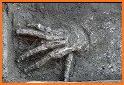 Giant Hands related image