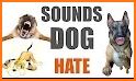 Stop Loud Dog Barking: Anti Dog Sounds App related image
