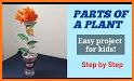 Plant DIY 3D related image